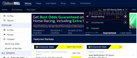 live greyhound racing commentary